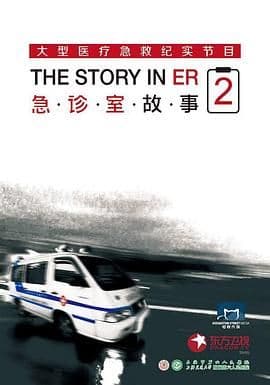 急诊室故事 第二季海报