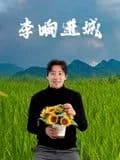李响进城海报