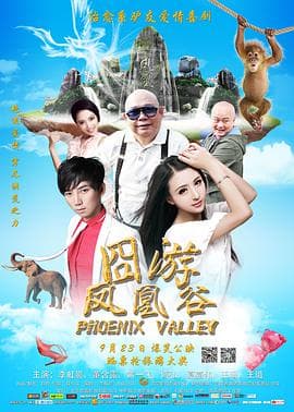 凤凰谷海报