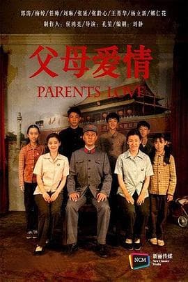 父母爱情2014海报