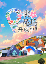 桃花坞开放中 第三季海报