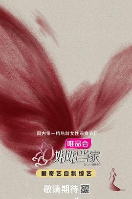 姐姐当家海报