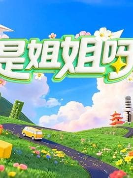 是姐姐呀海报