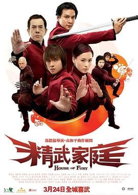 精武家庭国语海报