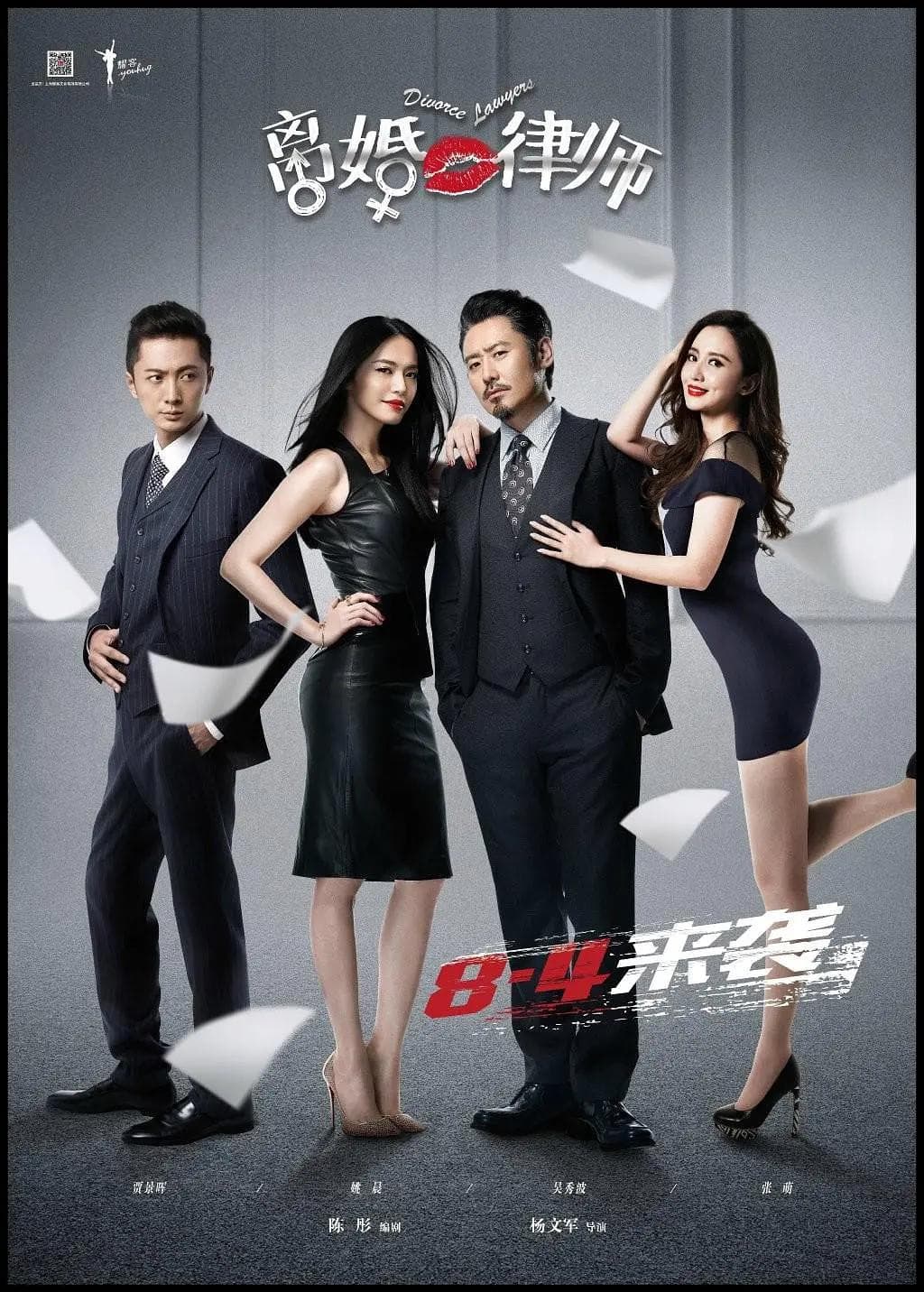 离婚律师2014海报