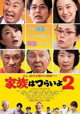 家族之苦2:麻烦老爸海报