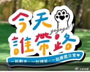 今天谁带路海报