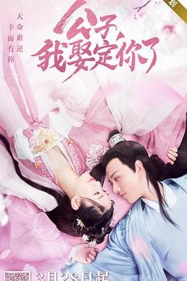 公子,我娶定你了海报