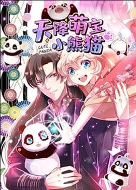 天降萌宝小熊猫海报