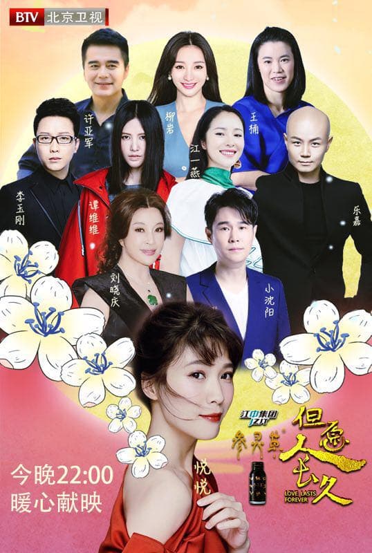 但愿人长久海报