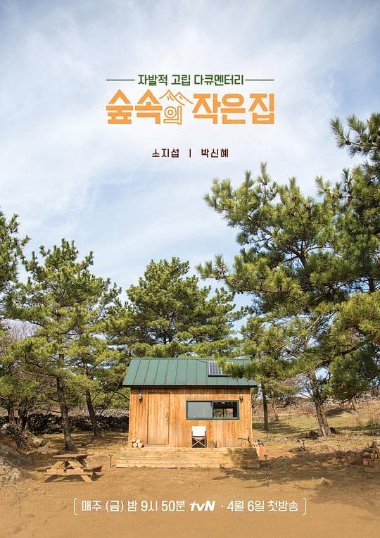 林中小屋海报