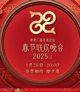 2025年中央广播电视总台春节联欢晚会海报