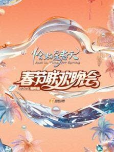 2025海南春晚海报