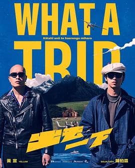 出去一下 What A Trip海报