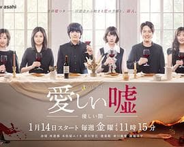 可爱的谎言~温柔的黑暗~海报