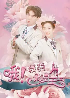 哦,我的青蛙王子海报