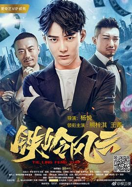 铁岭风云海报